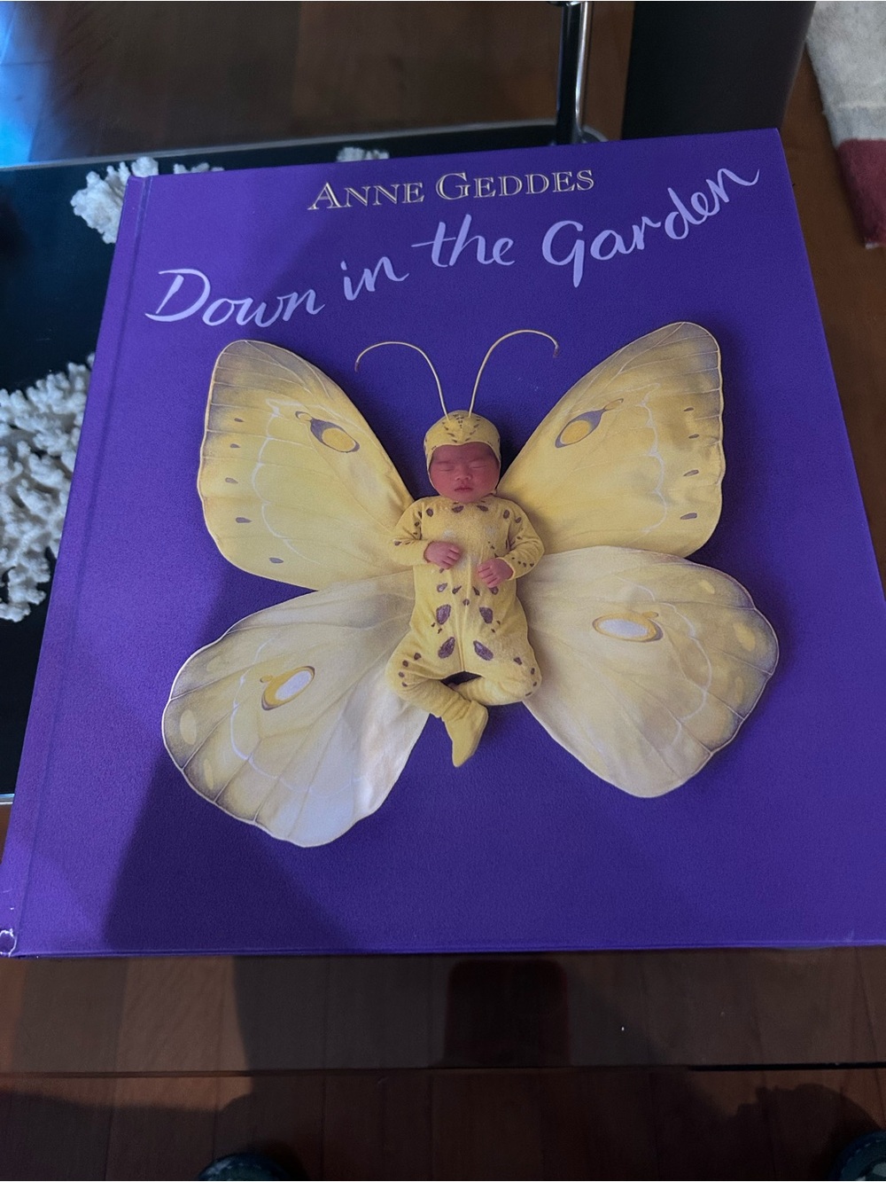 Anne Geddes Down in the Garden Coffee Table Book — Purple & Yellow